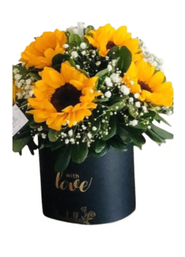 Box con Girasoles