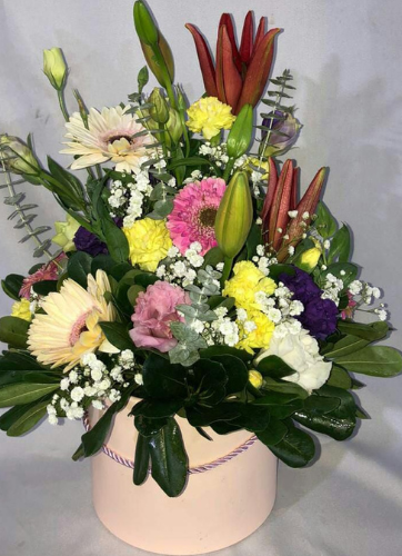 Box Primaveral