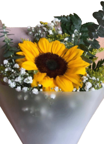 Ramo Girasol con Follaje