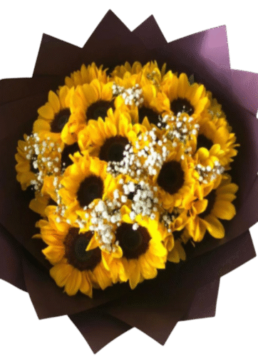 Buchón con Girasoles