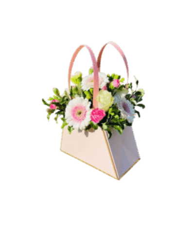 Cartera de Gerbera