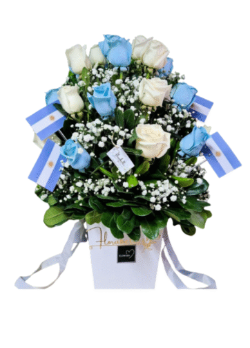 Box Argentina