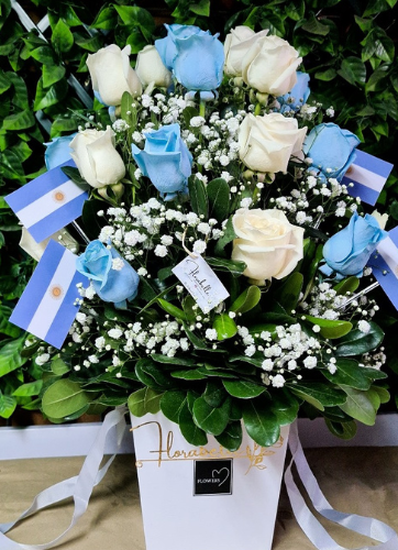 Box Argentina