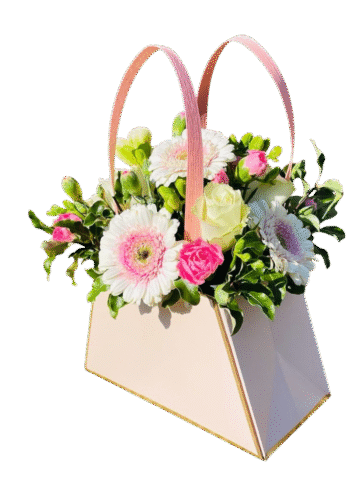 Cartera de Gerbera