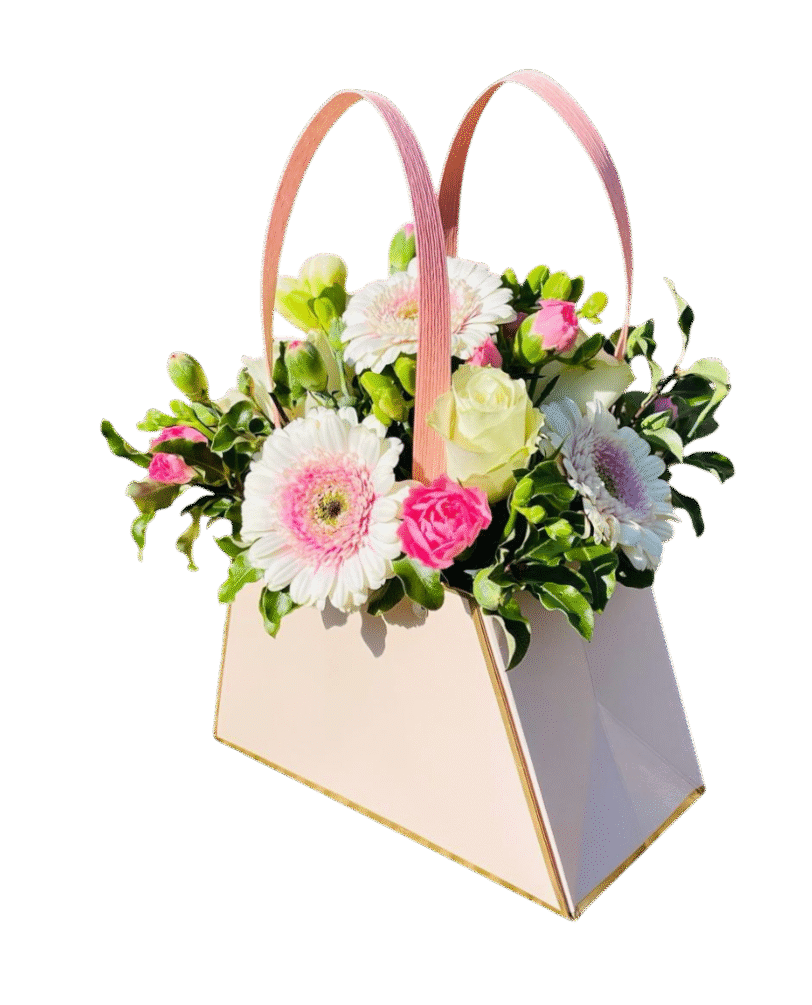 Cartera de Gerbera