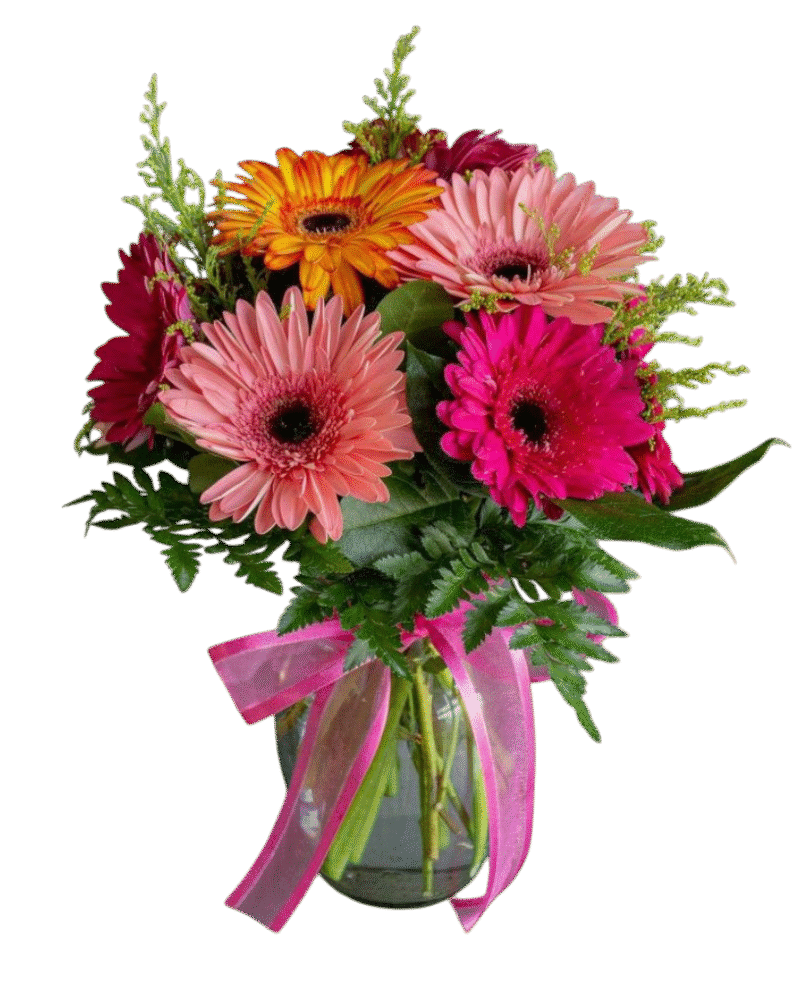 Florero de Gerbera surtida