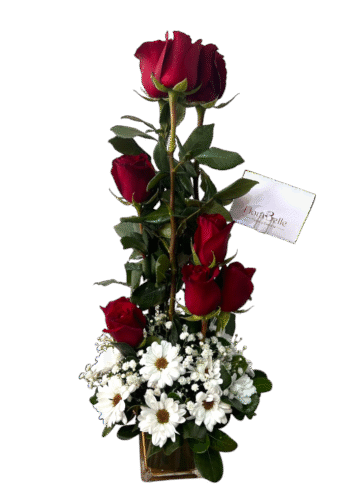 Box de Rosa