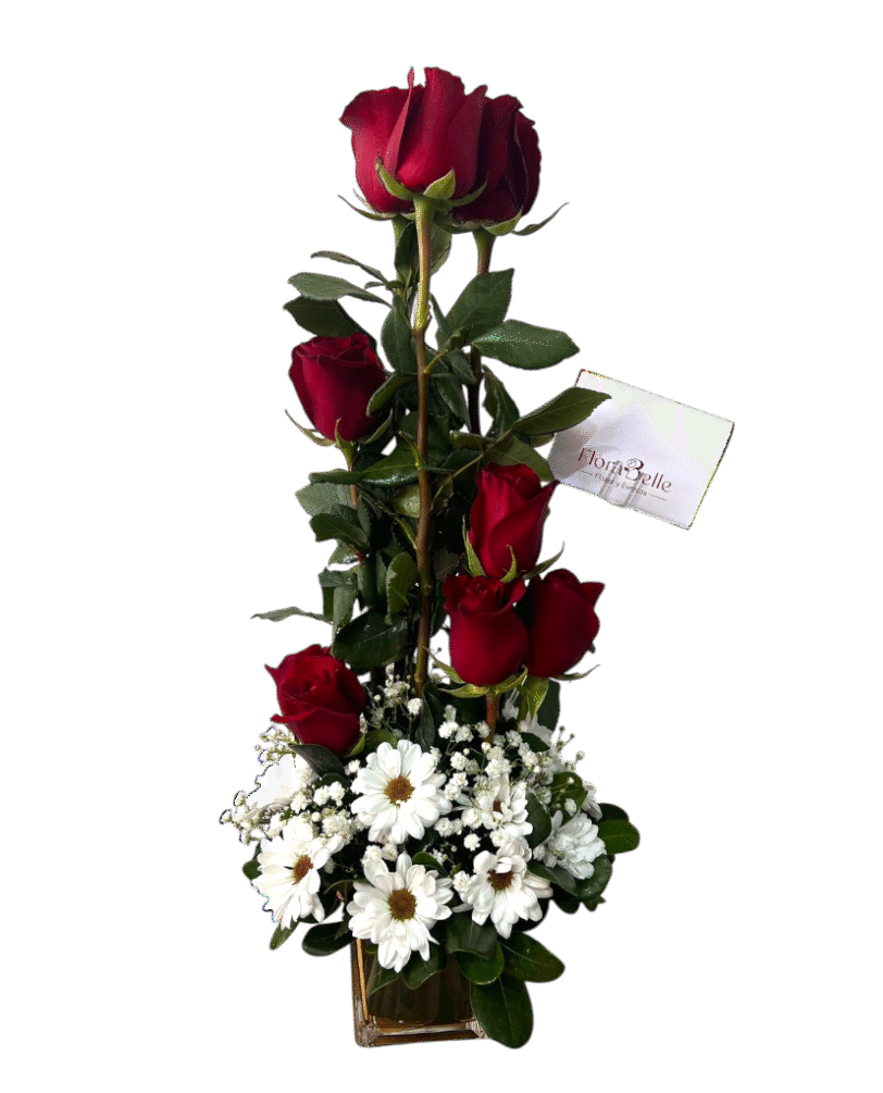 Box de Rosa