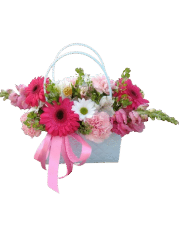 Cartera de Margaritas y Gerberas