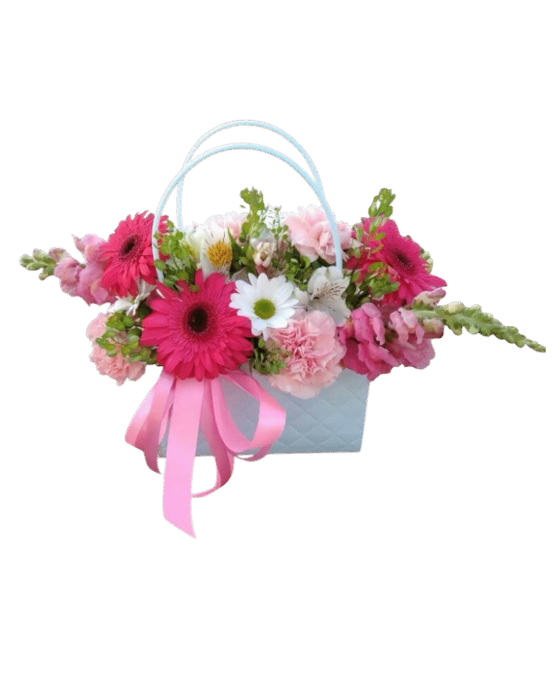 Cartera de Margaritas y Gerberas