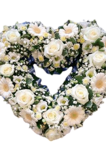 Corazón de Gerbera