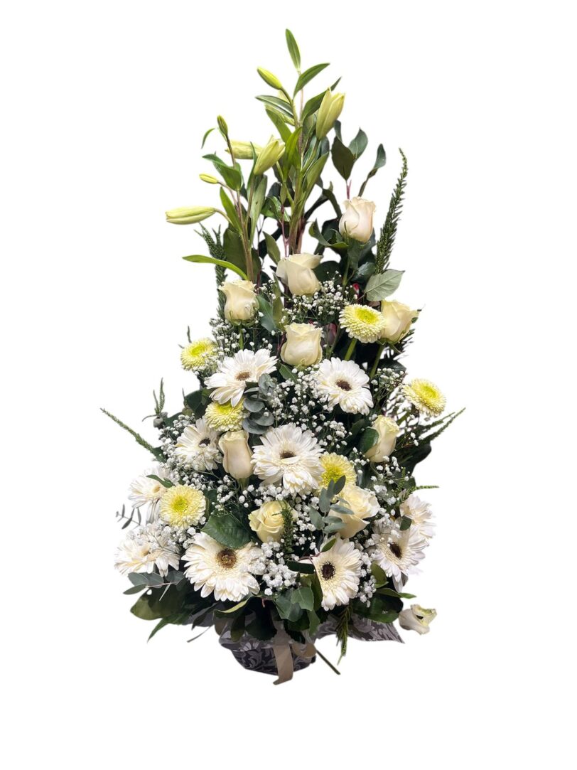 Arrimo Blanco Serenidad