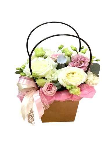 Cartera Colores Pasteles