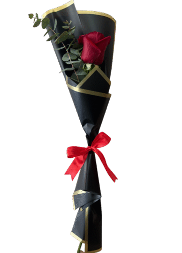 Rosa Roja en Papel Negro - Elegancia Sofisticada