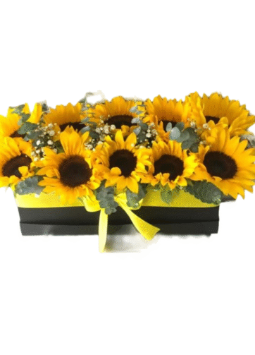 Box de Girasoles Amarillos