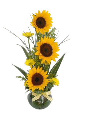 Girasoles en Florero de Vidrio