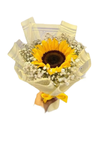 Ramo de Girasol con Gypsophila