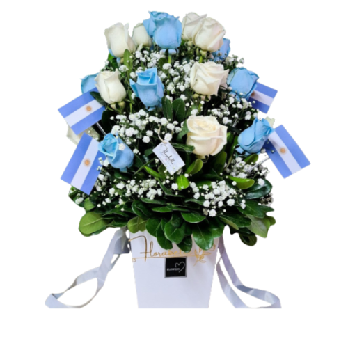 BOX (600 x 700 px) (2)